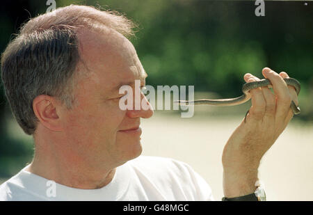 MP Ken Livingstone bei einem Fototermin im Londoner Zoo. Herr Livingstone, scharf Tierwelt Unterstützer, posiert mit einer Schlingnatter - eines von nur 2.000 verbleibenden in Großbritannien. Stockfoto