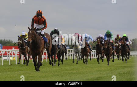 Pferderennen - Osterfest - Erster Tag - Fairyhouse Racecourse. Reizovic unter D.Kiely gewinnt das Russell Restaurant Flat Race während des Osterfestivals auf der Fairyhouse Racecourse, Co. Meath. Stockfoto