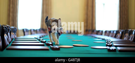 Larry, die Downing Street Katze aus dem Jahr 10, geht mit einer British Union Jack Fliege auf den Kabinetttisch vor der Downing Street Straßenparty. Stockfoto