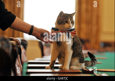 Larry, die Downing Street Katze aus dem Jahr 10, sitzt mit einer British Union Jack Fliege auf dem Kabinetttisch vor der Downing Street Straßenparty. Stockfoto