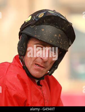 Pferderennen - 2011 Punchestown Festival - Ladbrokes.com World Series Hurdle Day. Jockey Davy Russell Stockfoto