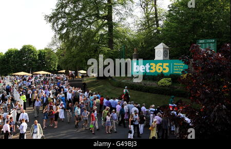 Horse Racing - bet365 Gold Cup Easter Festival - Sandown Park Stockfoto