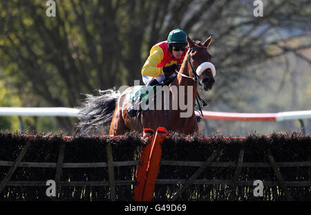 Horse Racing - Perth Festival - Tag 2 - Perth Racecourse Stockfoto