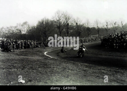 Speedway - hohe Buche, Epping Forest Stockfoto