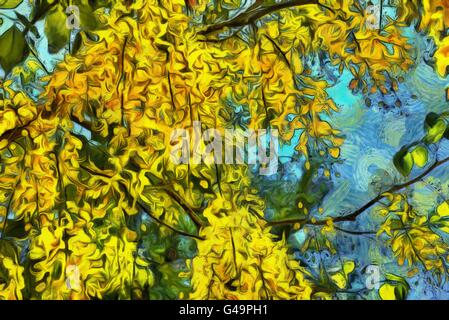 Goldene Kette Baum mit zarten gelben Blumen Stockfoto