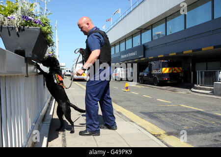 Polizeibeamte und ihre Suchhunde führen Routinedurchsuchungen im Terminal 1 von Heathrow durch, als einer von Osama bin Ladens prominenten Unterstützern in Großbritannien vor einem weiteren 7/7-Terroranschlag nach seinem Tod warnte. Stockfoto