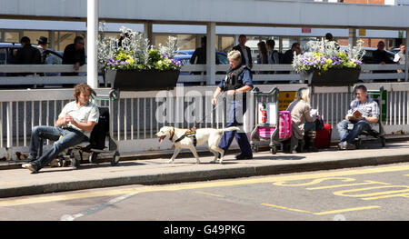 Polizeibeamte und ihre Suchhunde führen Routinedurchsuchungen im Terminal 1 von Heathrow durch, als einer von Osama bin Ladens prominenten Unterstützern in Großbritannien vor einem weiteren 7/7-Terroranschlag nach seinem Tod warnte. Stockfoto