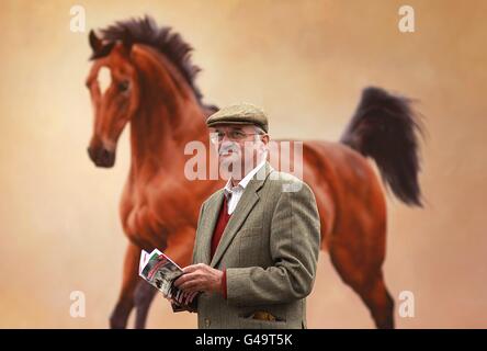 Ein Rennfahrer liest die Rennkarte vor Europas größtem Pferdegemälde, einem Porträt von Istabraq von Nicola Russell, während des Punchestown Festivals 2011 Stockfoto