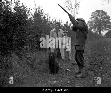 Schießen - alle im Alter Stakes, die Flacoated Retriever Society, 18. Feldversuch Meeting - Flamsteadbury Wildfarm, Hertfo... Stockfoto