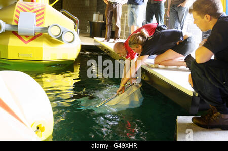 Neue Legoland Atlantis-Fahrt Stockfoto