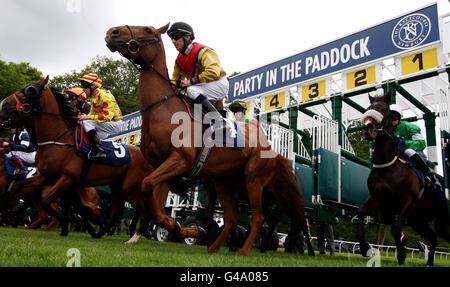 Läufer brechen während des Scope Charity Race Day auf der Newbury Racecourse für die Scope Charity Handicap Stakes von den Ständen ab. Stockfoto