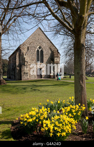 Frühling Blumen und der Guildhall in Priory Park, Stadtzentrum, Chichester, West Sussex, England, Vereinigtes Königreich, Europa Stockfoto