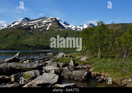 Kleinen Bach aus den Bergen im Norden von Norwegen. Stockfoto