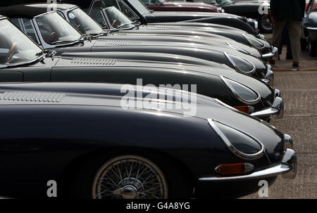 Eine Reihe von E-Jaguar-Modellen, die bei Classic Motor Cars in Bridgnorth, Shropshire, zu sehen sind. Stockfoto