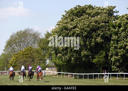 Pferderennen - Bath Racecourse. Läufer und Fahrer starten zum Start der HSBC Maiden Auction Stakes Stockfoto