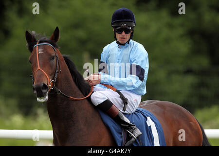 Horse Racing - Bereich Charity Race Day - Newbury Racecourse Stockfoto