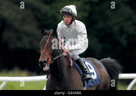 Horse Racing - Bereich Charity Race Day - Newbury Racecourse Stockfoto