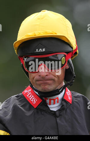 Horse Racing - Bereich Charity Race Day - Newbury Racecourse Stockfoto