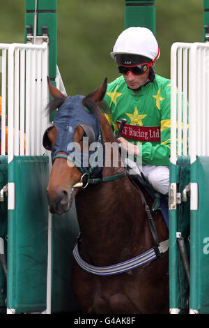 Pferderennen - Scope Charity Race Day - Newbury Racecourse. Dane O'Neill am Lisahane Bog in den Ständen vor dem Scope Charity Handicap Stockfoto