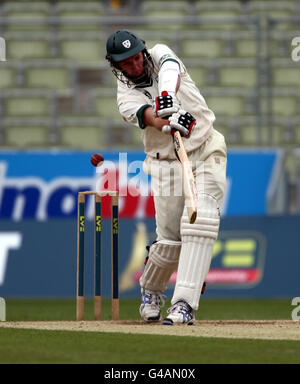 Cricket - Liverpool Victoria County Championship - Division One - Tag vier - Warwickshire V Worcestershire - Edgbaston Stockfoto