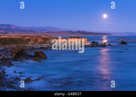 Full Moon rising über Piedras Blancas See-Elefant Rookery, San Simeon, Kalifornien USA Stockfoto