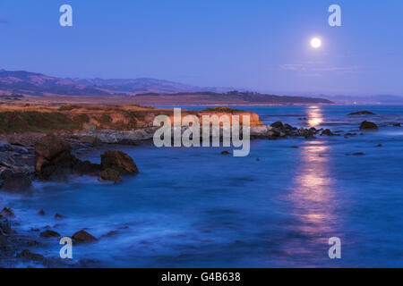 Full Moon rising über Piedras Blancas See-Elefant Rookery, San Simeon, Kalifornien USA Stockfoto