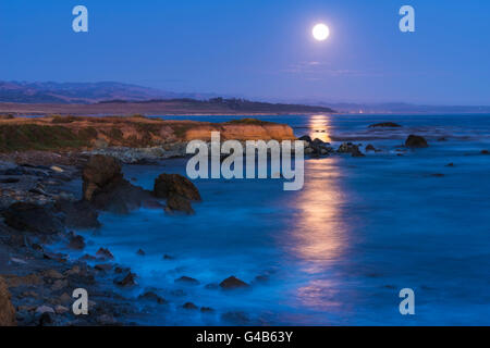 Full Moon rising über Piedras Blancas See-Elefant Rookery, San Simeon, Kalifornien USA Stockfoto