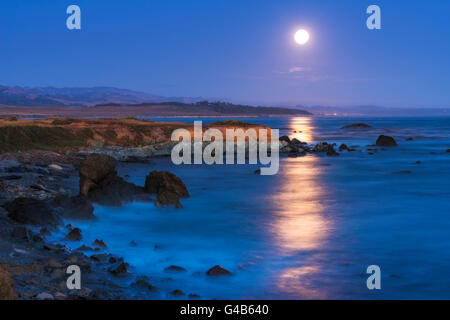 Full Moon rising über Piedras Blancas See-Elefant Rookery, San Simeon, Kalifornien USA Stockfoto