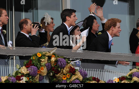 Der Royal Balcony reagiert mit Prinz Harry, der jubelt, als John Warren, der Queens Racing Manager, seine Hände hochhebt, als Carlton House, das Ihrer Majestät der Königin gehört, heute im Derby in Epsom den dritten Platz erreicht. Stockfoto