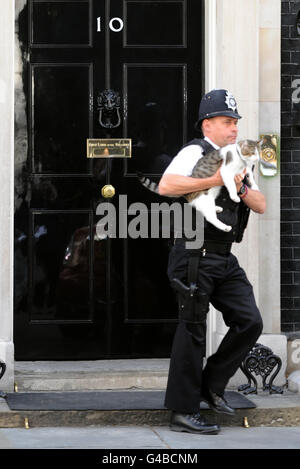 Ein Polizist hilft Larry, der Downing Street Katze, in die Nummer 10. Stockfoto