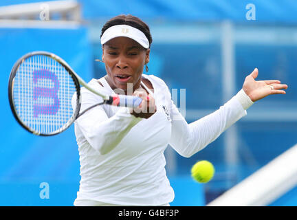 Tennis - AEGON International - Tag zwei - Devonshire Park Stockfoto