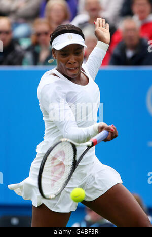 Tennis - AEGON International - Tag zwei - Devonshire Park Stockfoto