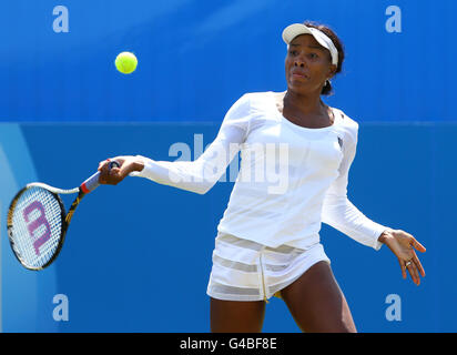 Tennis - AEGON International - Tag 5 - Devonshire Park Stockfoto