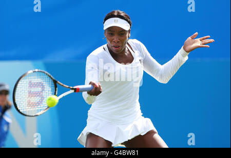 Die USA Venus Williams in Aktion während der AEGON International im Devonshire Park, Eastbourne. Stockfoto