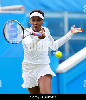 Tennis - AEGON International - Tag zwei - Devonshire Park Stockfoto