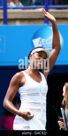 Tennis - AEGON International - Tag 4 - Devonshire Park. Die US-Amerikanerin Venus Williams feiert den Sieg während ihres Spiels gegen Ana Ivanovic während des AEGON International im Devonshire Park, Eastbourne. Stockfoto