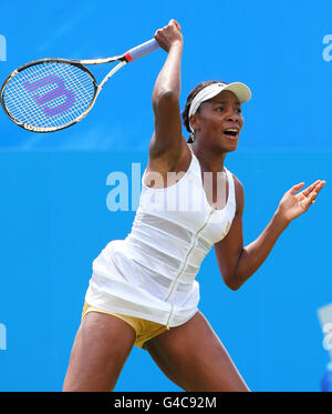 Tennis - AEGON International - Tag vier - Devonshire Park Stockfoto