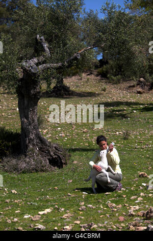 Ein weißes Lamm trinkt Milch aus einer Flasche in O-Live Deponiestandort Bauernhof in Prado del Rey, Sierra de Cadiz, Andalusien, Spanien Stockfoto