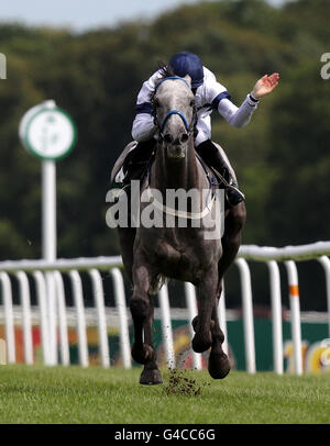 Horse Racing - Teller-Festival 2011 - John Smiths Northumberland Platte Day - Newcastle Racecourse Stockfoto