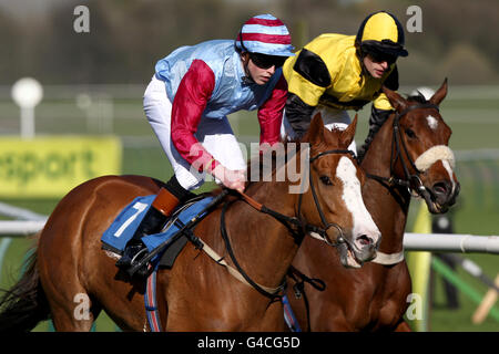 Pferderennen Sie-Nottingham Racecourse Stockfoto