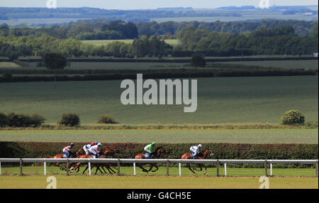 Pferderennen - Seventh Race Meeting - Beverley Racecourse. Pferde Rennen in den Admiral Reifen Handicap Stakes Stockfoto