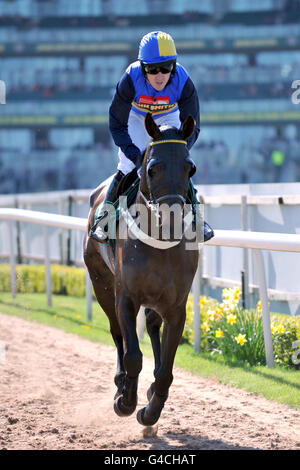 Pferderennen - The 2011 John Smith's Grand National - Tag zwei - Aintree Racecourse. Wayward Prince, geritten von Tony McCoy Stockfoto