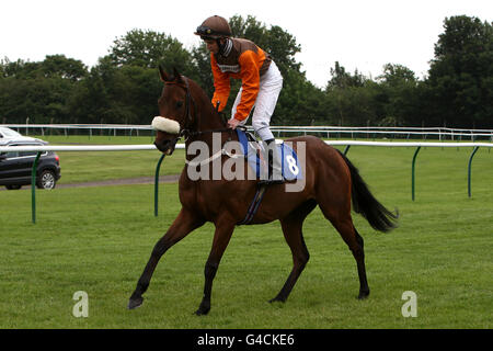 Pferderennen - Nottingham Racecourse. Jockey Shane B Kelly auf Beckermet geht, um für die Wette auf toteplacepot bei totesport.com Handicap Stockfoto