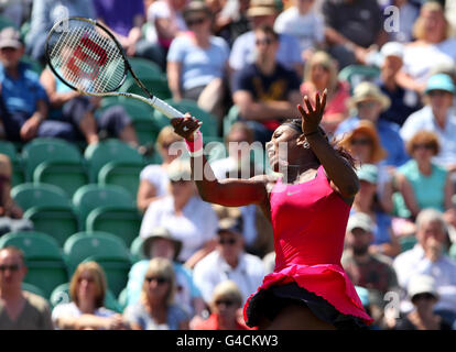Tennis - AEGON International - Tag drei - Devonshire Park. Die US-Amerikanerin Serena Williams in Aktion während ihres Spiels gegen Tsvetana Pironkova während des AEGON International im Devonshire Park, Eastbourne. Stockfoto