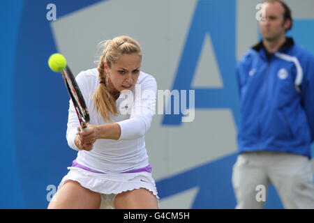 -2011 AEGON Classic - Tag 6 - Edgbaston Priory Tennisclub Stockfoto