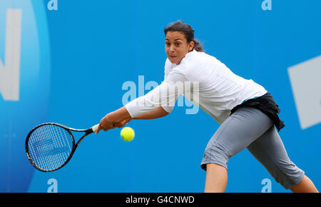 Die französische Marion Bartoli in Aktion auf ihrem Weg zum Sieg der AEGON International mit dem Sieg über die tschechische Petra Kvitova im Devonshire Park, Eastbourne. Stockfoto