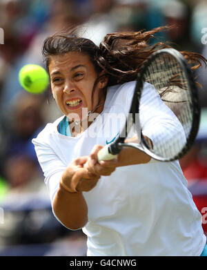 Die französische Marion Bartoli in Aktion auf ihrem Weg zum Sieg der AEGON International mit dem Sieg über die tschechische Petra Kvitova im Devonshire Park, Eastbourne. Stockfoto