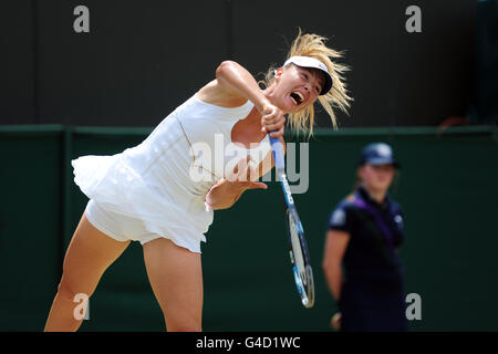 Tennis - Wimbledon Championships 2011 - Tag Sieben - All England Lawn Tennis und Croquet Club. Maria Sharapova, Russland Stockfoto