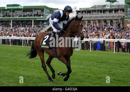 Horse Racing - Teller-Festival 2011 - John Smiths Northumberland Platte Day - Newcastle Racecourse Stockfoto