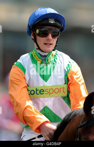 Horse Racing - 52. John Smith Cup Meeting 2011 - tyregiant.com Sommer Stakes - York Racecourse Stockfoto